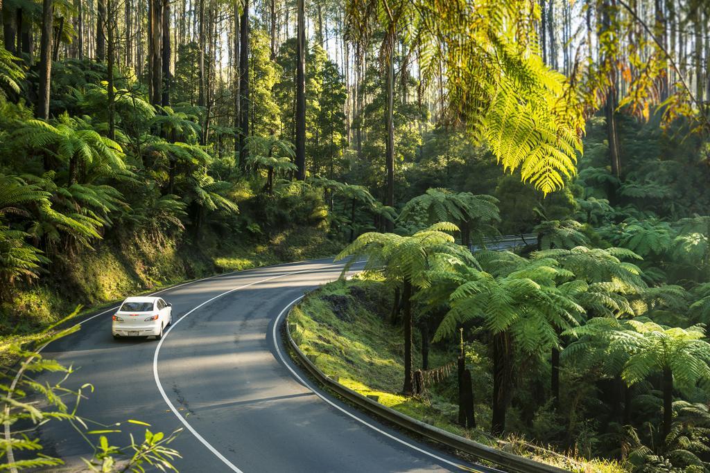 Lithgow Falls メアリーズビル エクステリア 写真